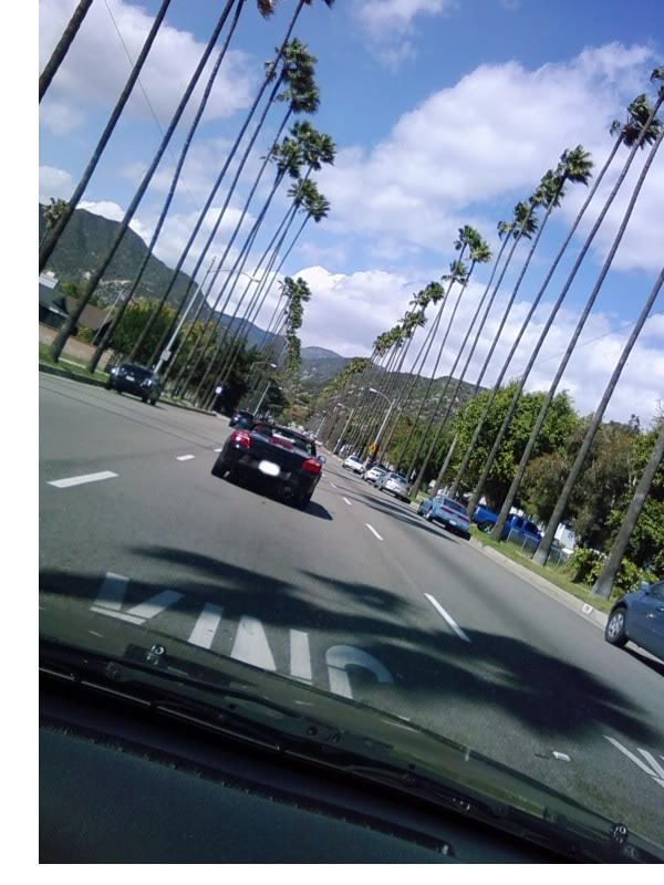 Name:  0322091503-02.jpg
Views: 18
Size:  89.4 KB