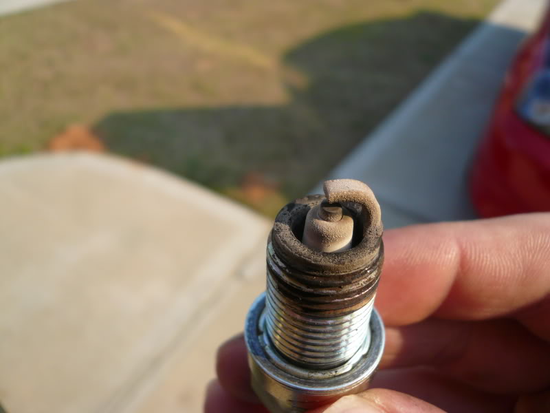 Name:  newphotos004.jpg
Views: 70
Size:  46.5 KB