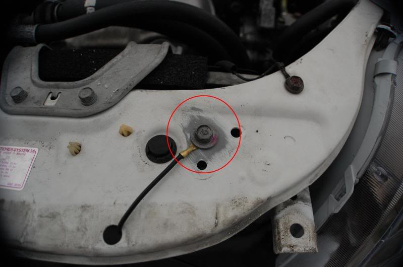 Name:  DSC_0921.jpg
Views: 858
Size:  67.2 KB