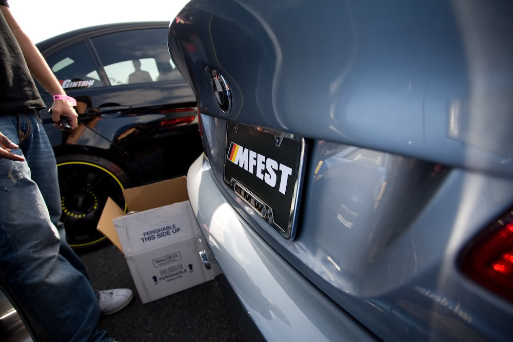 Name:  mg8738.jpg
Views: 23
Size:  84.4 KB