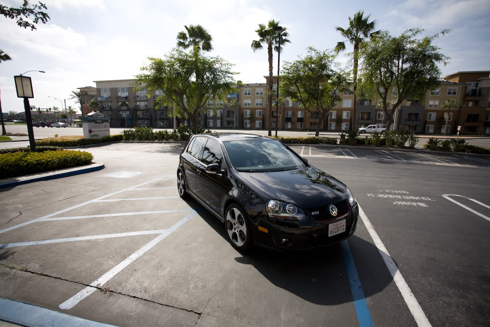 Name:  mg8732.jpg
Views: 28
Size:  157.6 KB