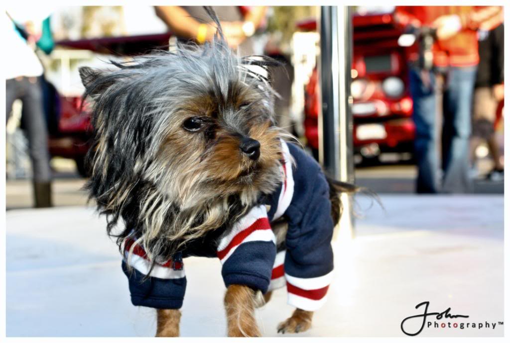 Name:  f387a3d6.jpg
Views: 29
Size:  85.4 KB