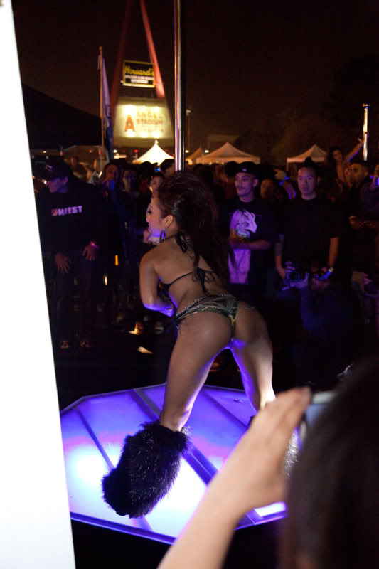 Name:  20090314-IMG_1915.jpg
Views: 22
Size:  55.7 KB