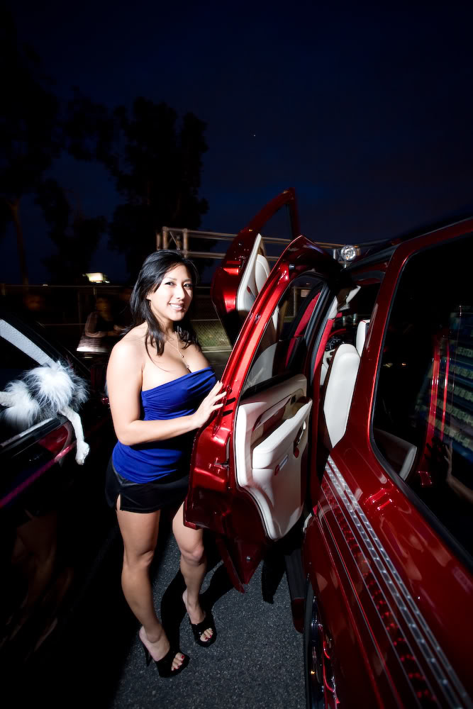 Name:  mg9774-1.jpg
Views: 19
Size:  105.0 KB