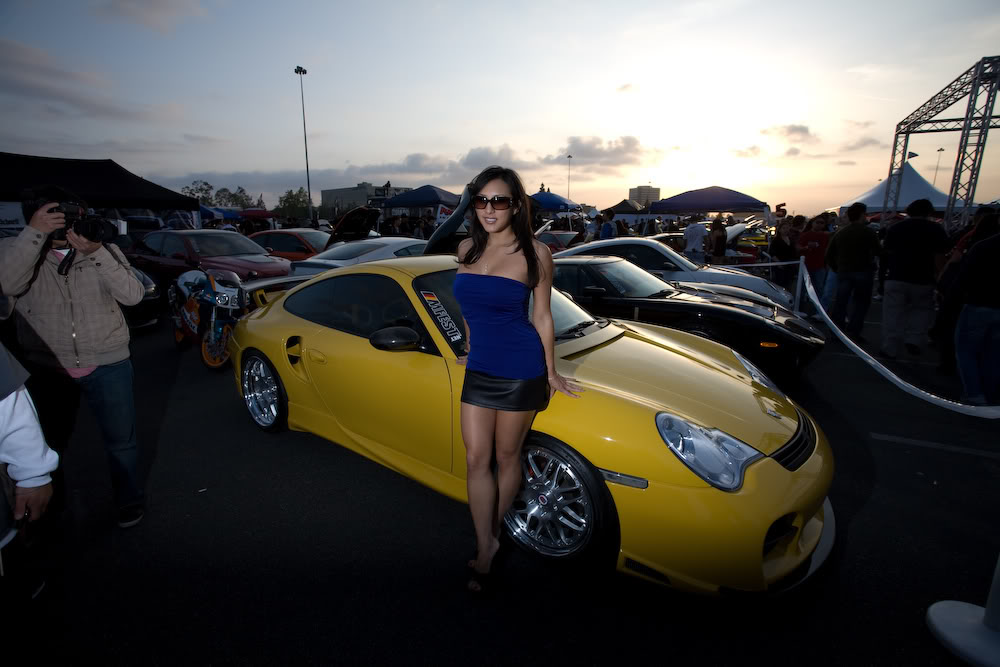 Name:  mg9687z.jpg
Views: 20
Size:  92.4 KB