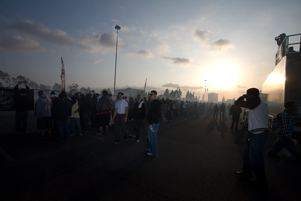 Name:  mg9672s.jpg
Views: 21
Size:  58.2 KB