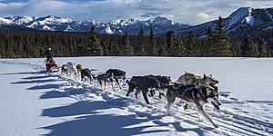 Click image for larger version

Name:	dogsled1.jpg
Views:	37
Size:	158.8 KB
ID:	111846