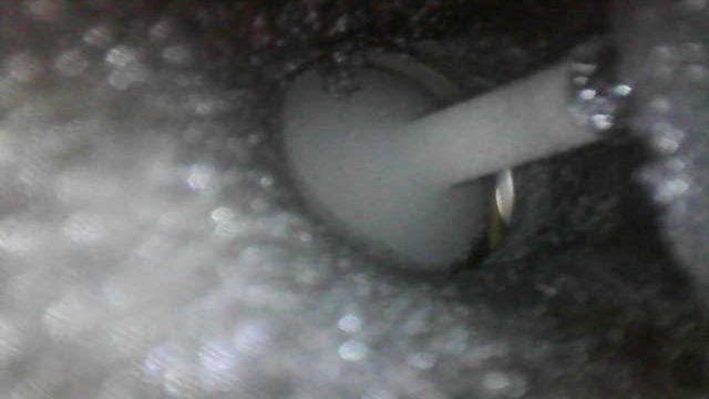 Name:  woxVo8gl.jpg
Views: 573
Size:  20.9 KB