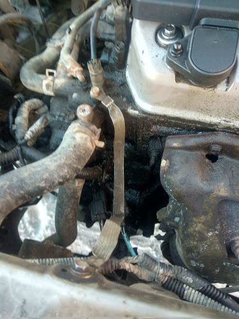 Name:  y9Wgmqm.jpg
Views: 39
Size:  47.4 KB