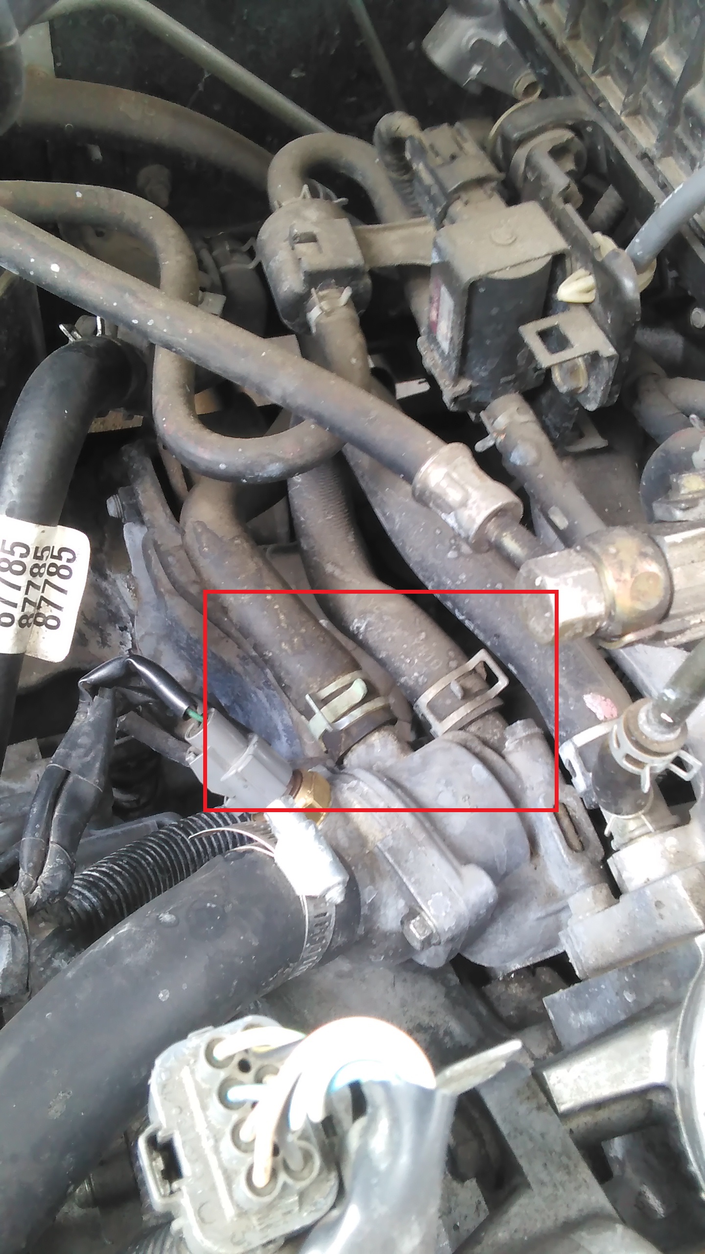 Name:  6qolmRw.jpg
Views: 20
Size:  804.2 KB