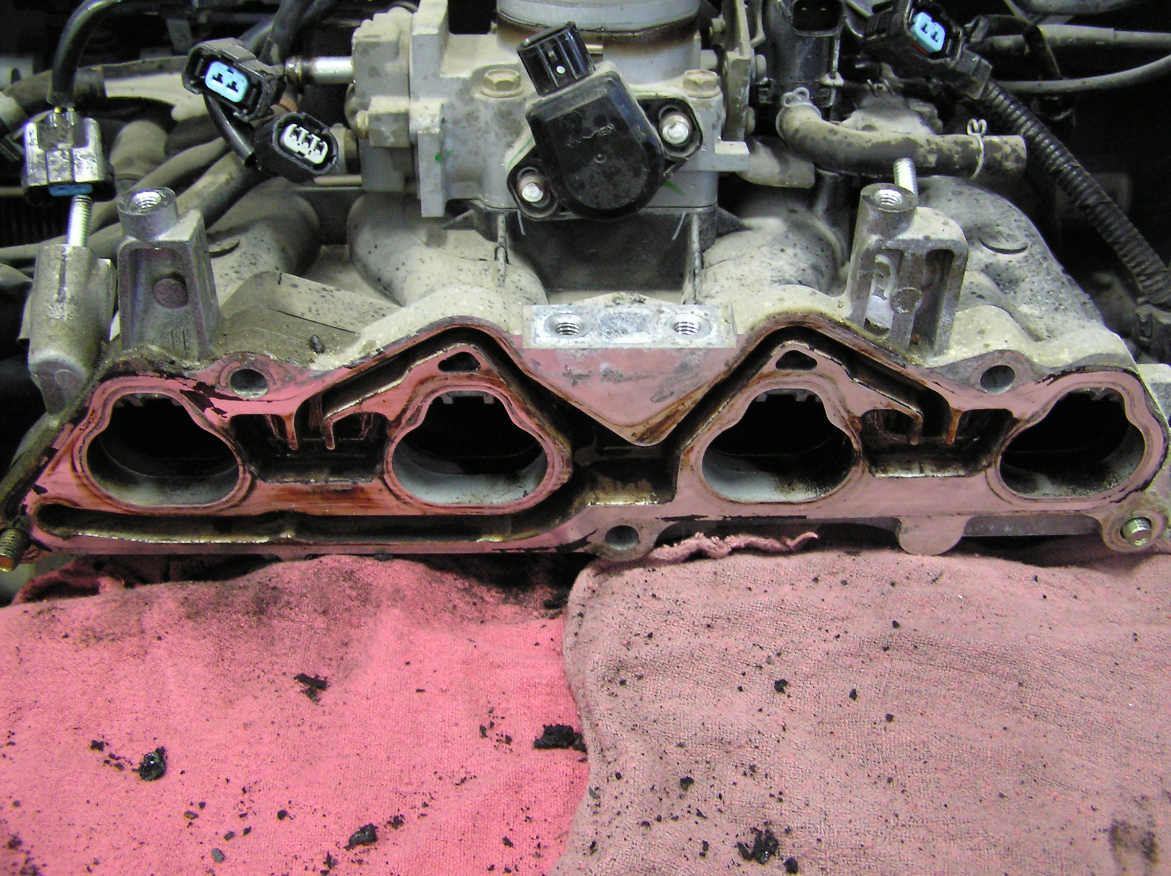 Name:  CpvBlto.jpg
Views: 339
Size:  815.8 KB