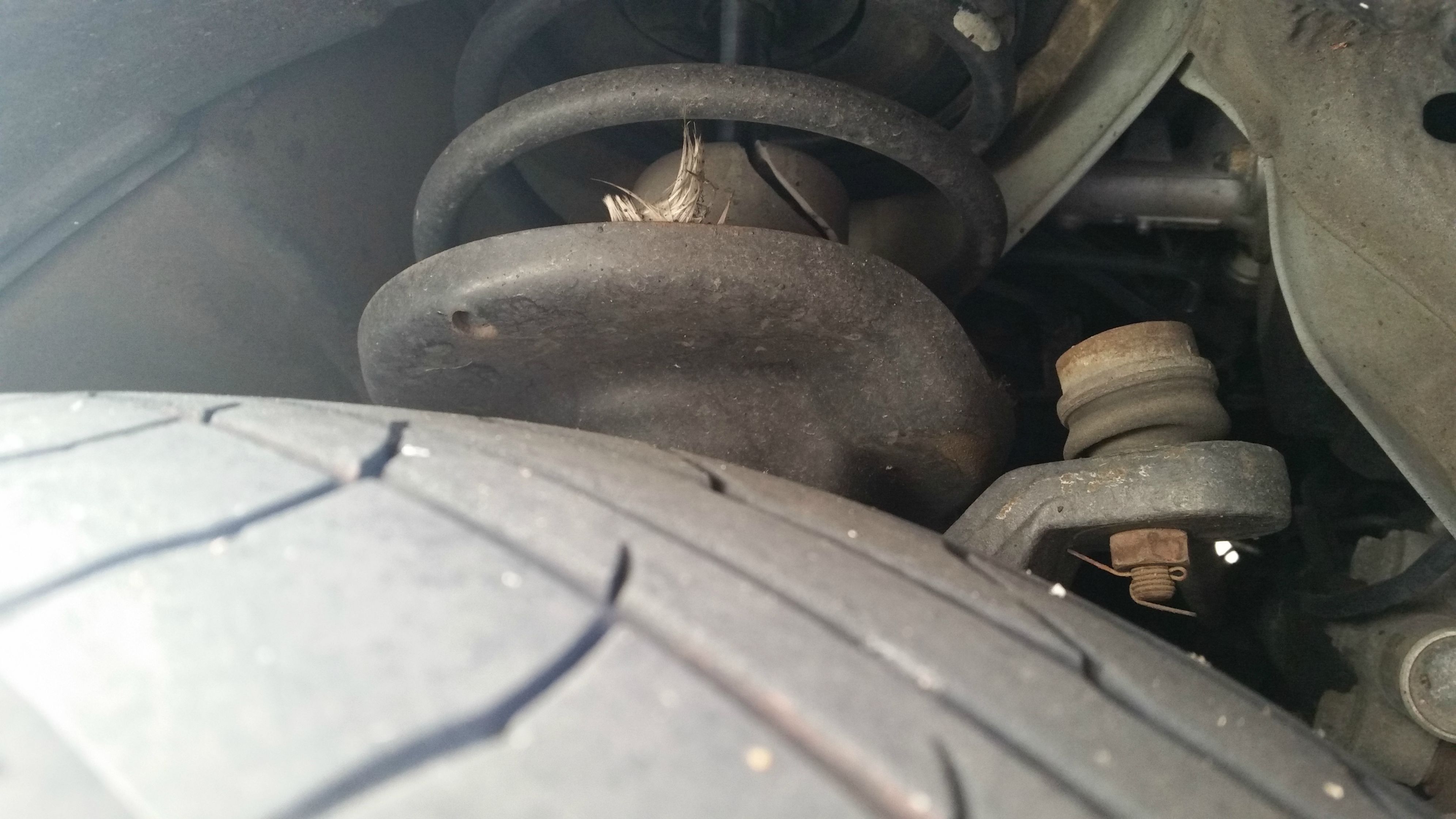 Name:  okBIZwm.jpg
Views: 20
Size:  687.6 KB