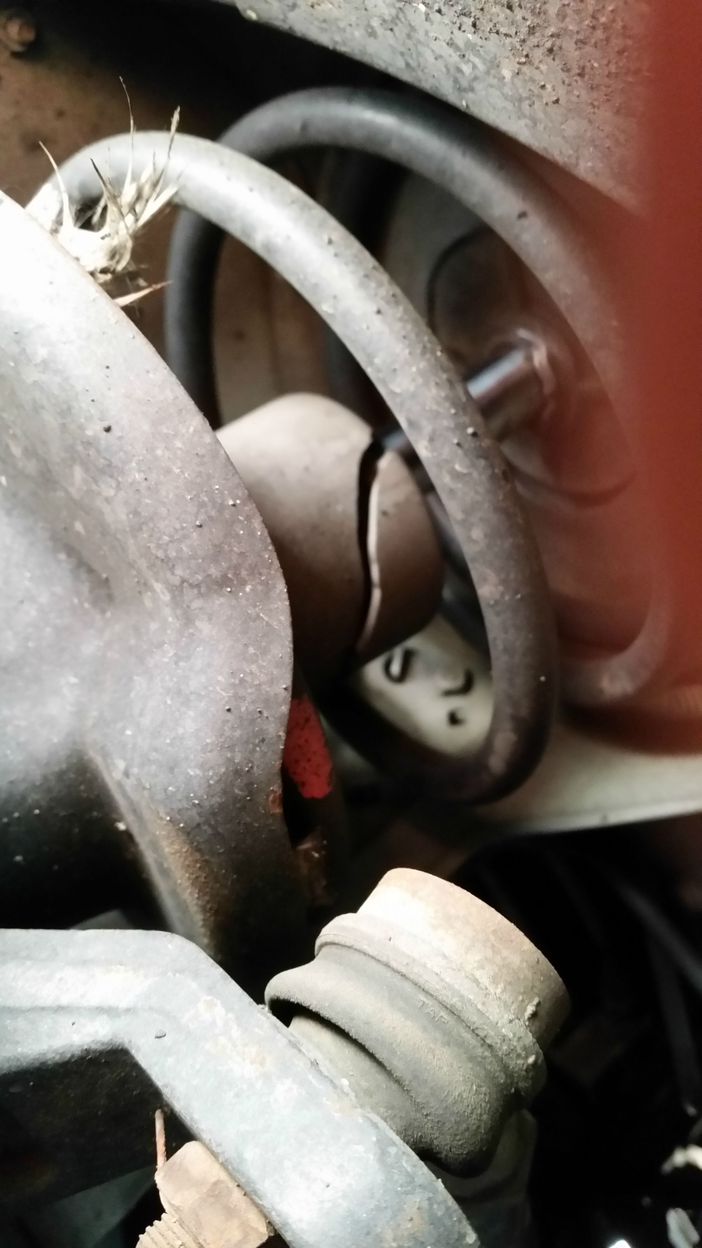 Name:  wXXD3zF.jpg
Views: 18
Size:  486.7 KB