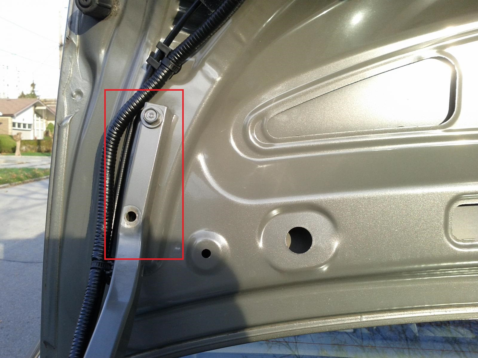 Name:  sfzeCot.jpg
Views: 122
Size:  291.8 KB