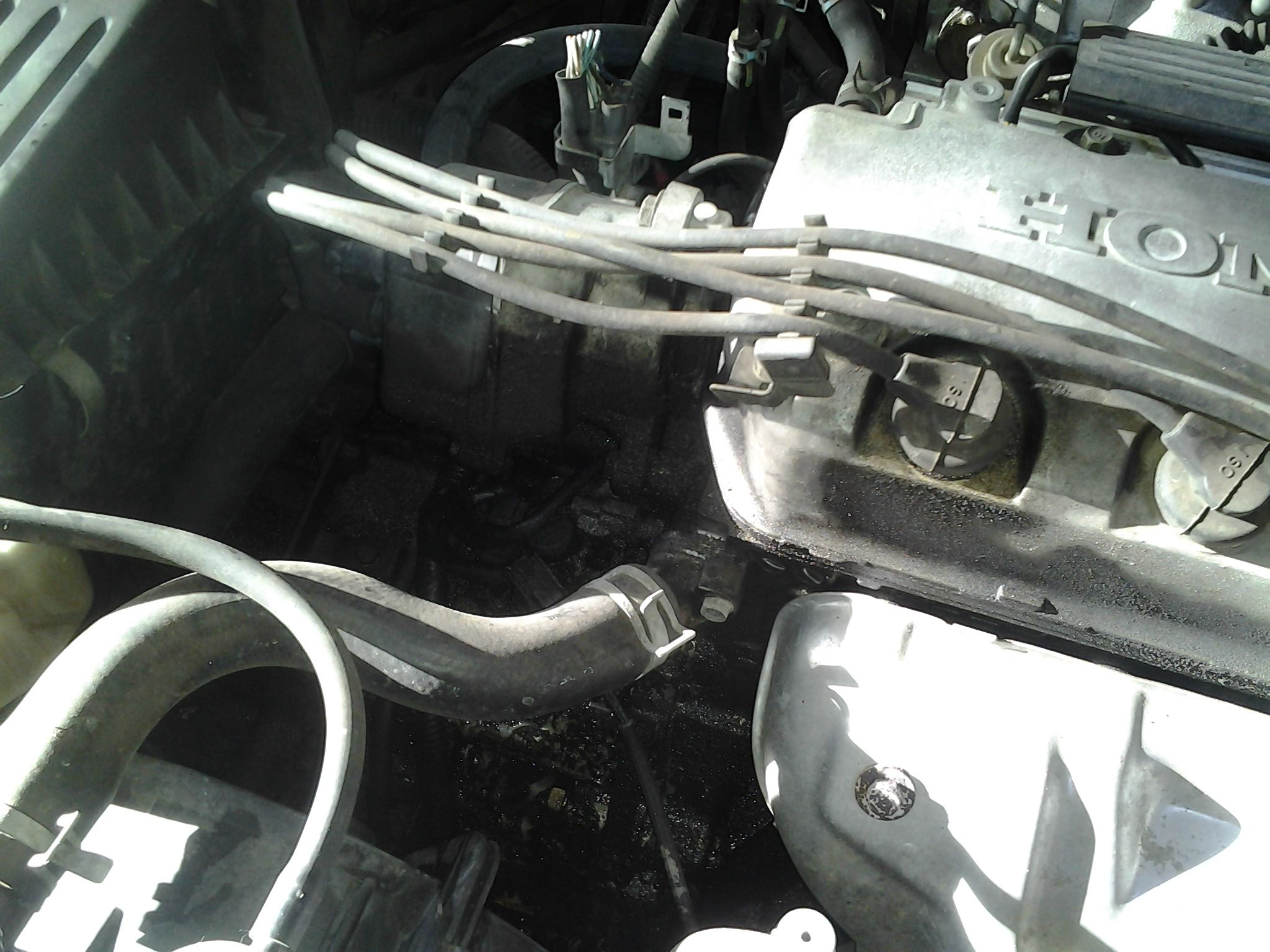 Name:  sbHVd.jpg
Views: 27
Size:  327.9 KB