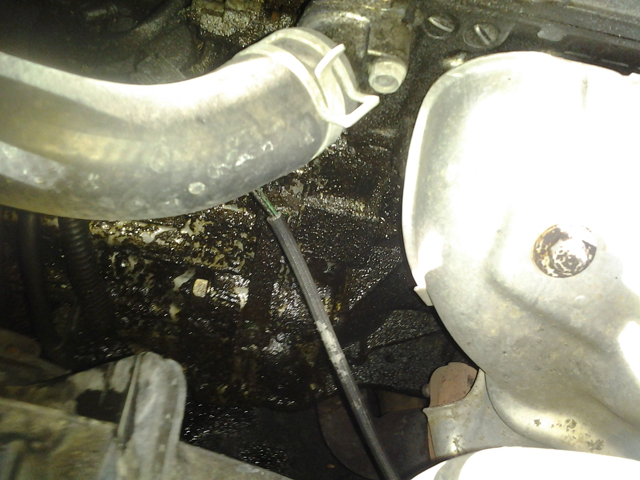 Name:  7wUci.jpg
Views: 27
Size:  331.2 KB