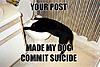 Click image for larger version

Name:	dogsuicide.jpg
Views:	281
Size:	29.6 KB
ID:	20088