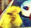 Click image for larger version

Name:	Photo 2012-02-05 5 57 47 PM.jpg
Views:	57
Size:	92.5 KB
ID:	82528