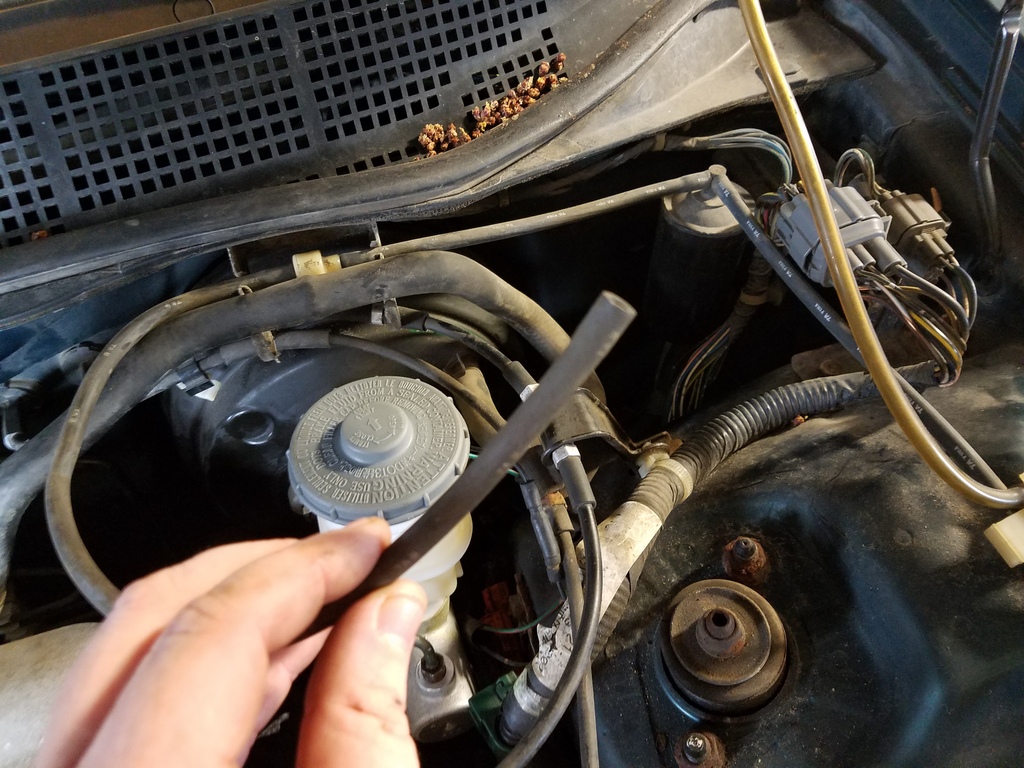 Name:  20170314_163138_zps7hvtdg1k.jpg
Views: 143
Size:  361.3 KB