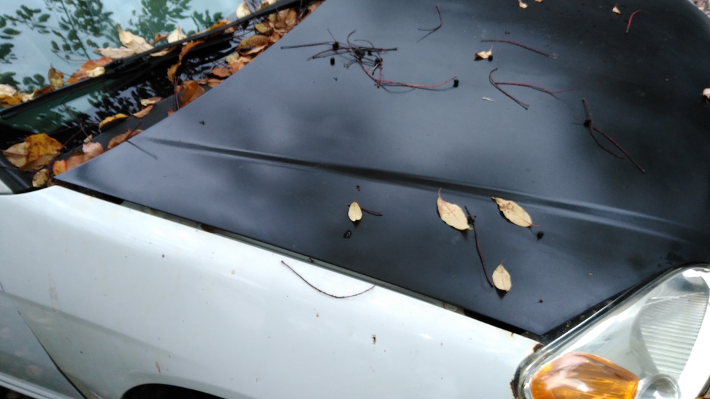 Name:  IMG_20161017_141243_zps2vi156lq.jpg
Views: 177
Size:  162.5 KB