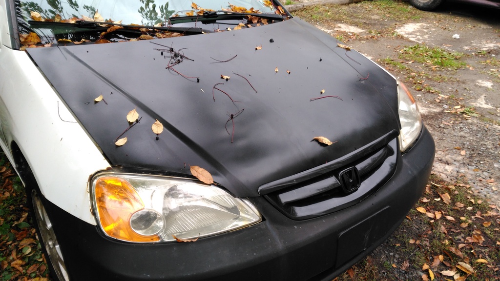 Name:  IMG_20161017_141228_zps1rez83zb.jpg
Views: 169
Size:  260.9 KB