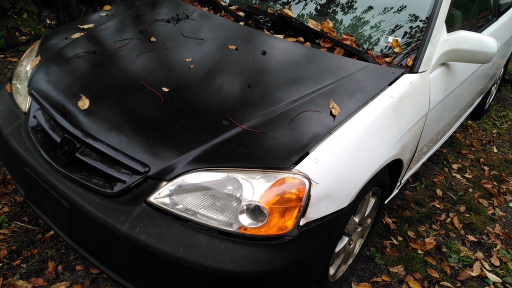 Name:  IMG_20161017_141152_zpssfwll9ya.jpg
Views: 182
Size:  234.6 KB