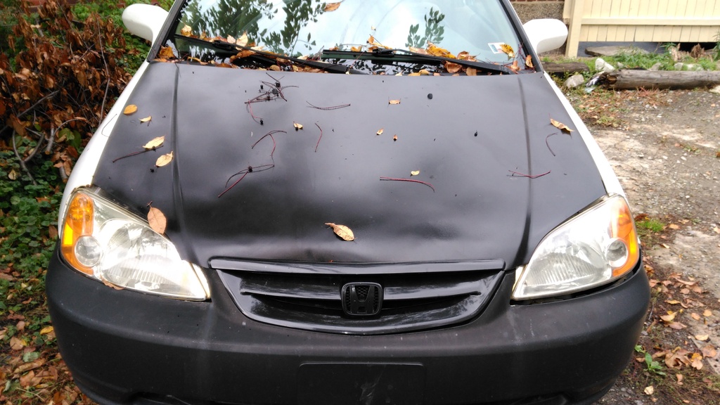 Name:  IMG_20161017_141146_zpstveyyaak.jpg
Views: 148
Size:  254.2 KB