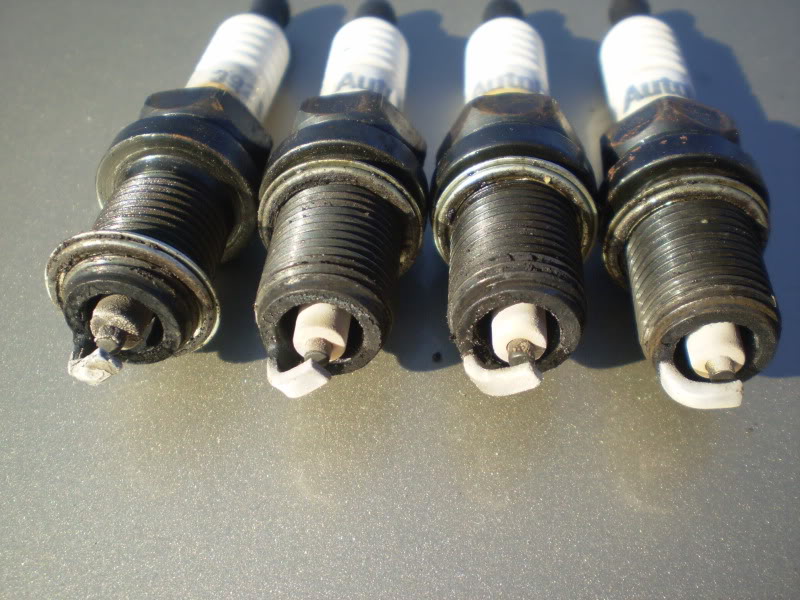 Name:  P7150027.jpg
Views: 1039
Size:  110.3 KB