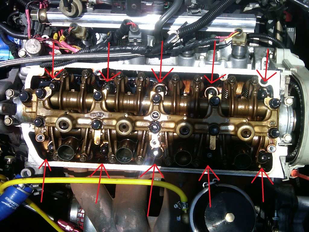 Name:  IMG01599-20100622-1253.jpg
Views: 352
Size:  193.1 KB