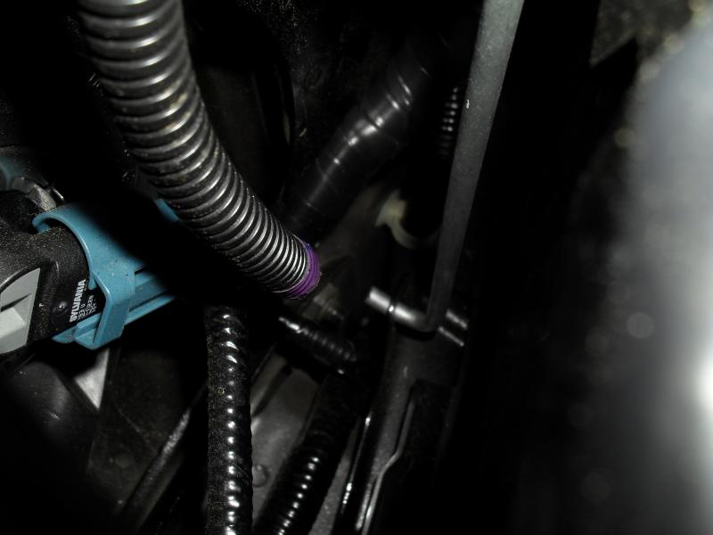 Name:  SDC11225_zpsdda58fd9.jpg
Views: 4331
Size:  38.0 KB