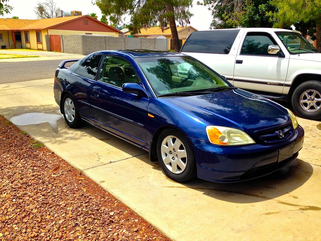 Name:  IMG_4195_zpsf21a83a9.jpg
Views: 5286
Size:  191.9 KB