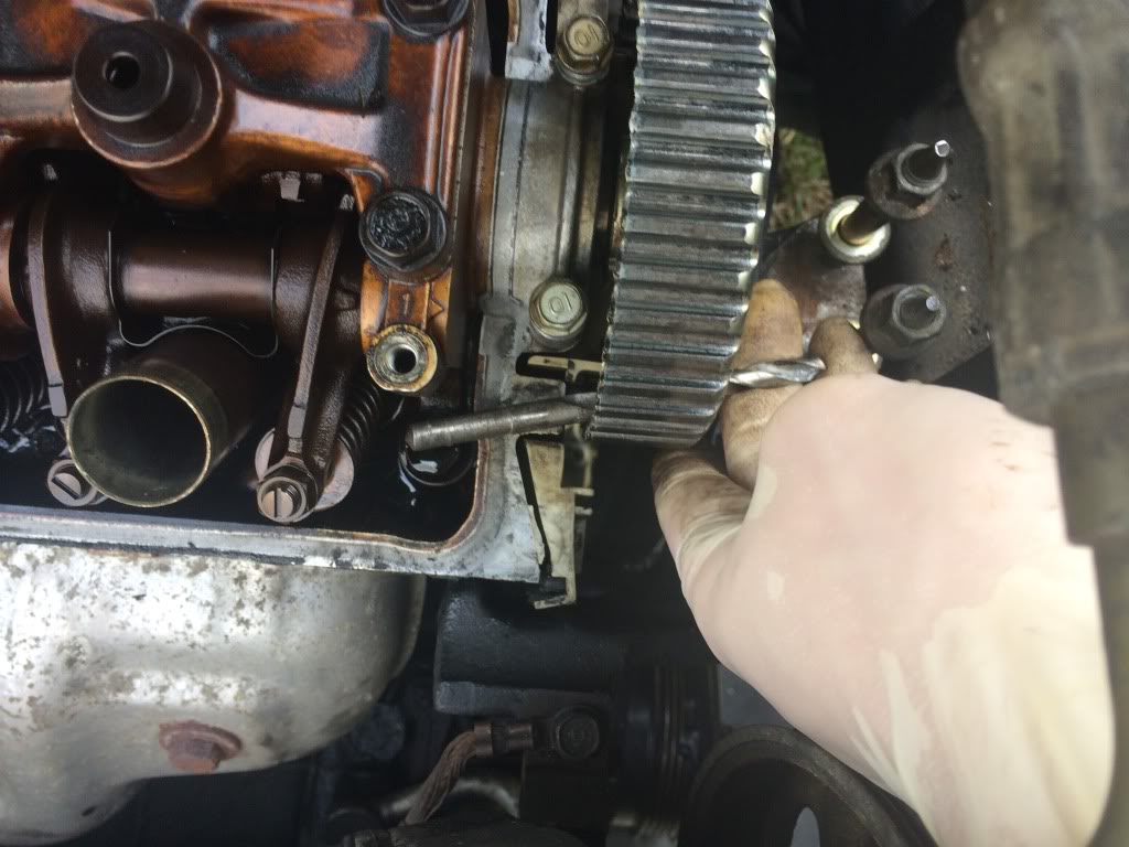 Name:  IMG_1910_zps6e4c65fe.jpg
Views: 21719
Size:  105.8 KB