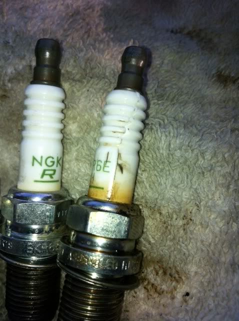 Name:  photo10.jpg
Views: 940
Size:  60.7 KB