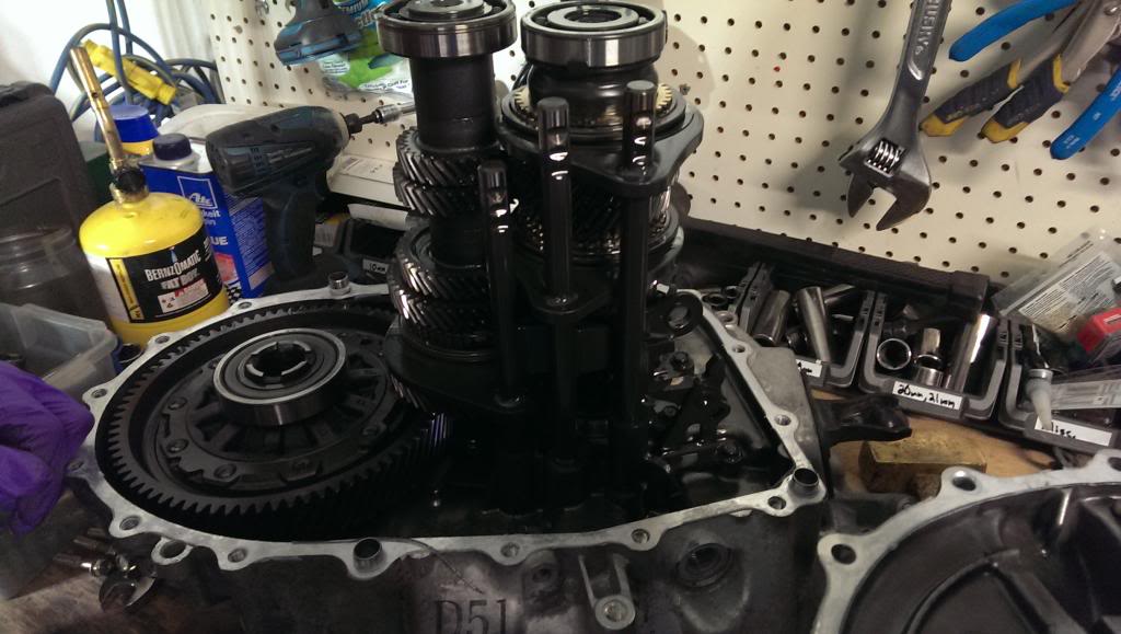 Name:  IMAG0700_zps4995c499.jpg
Views: 15151
Size:  84.9 KB