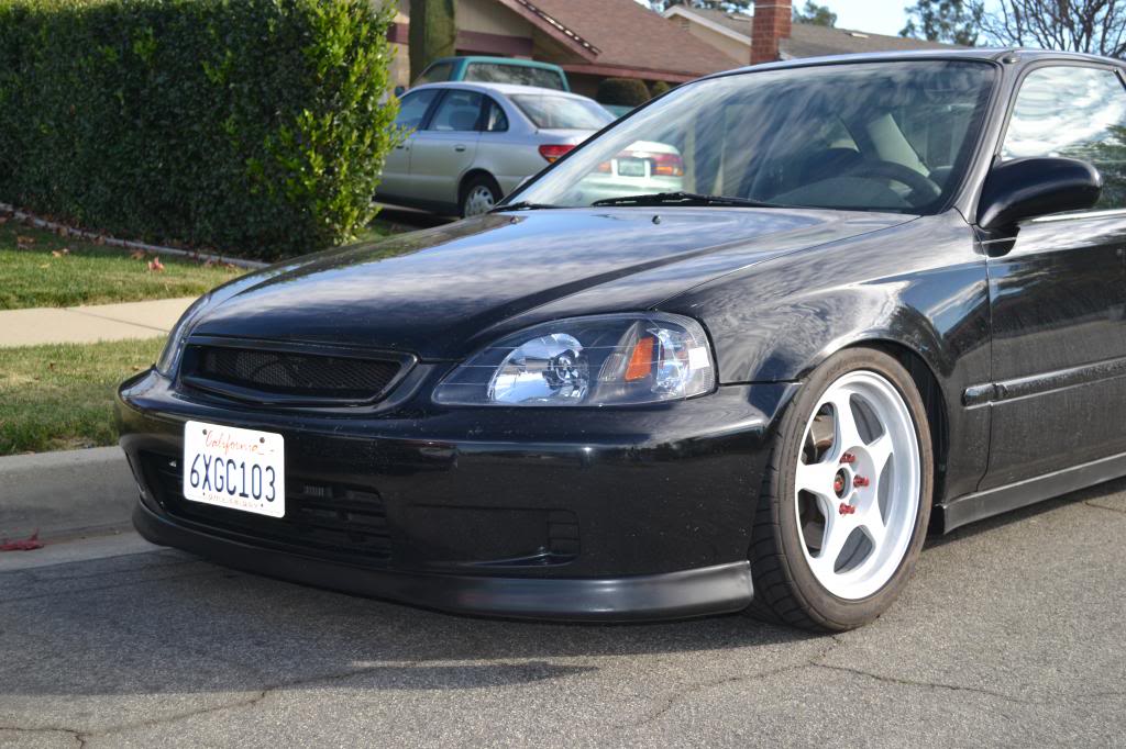 Name:  DSC_1066_zpse9db9e30.jpg
Views: 5673
Size:  115.9 KB