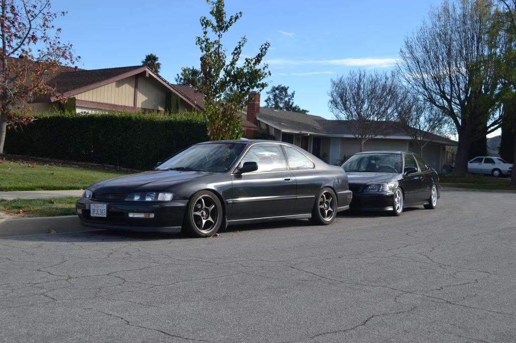 Name:  DSC_1063_zpsf0b904d4.jpg
Views: 1533
Size:  122.3 KB