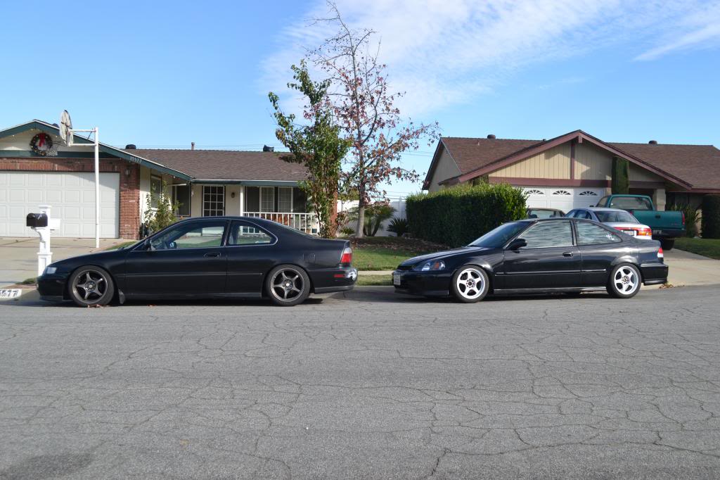 Name:  DSC_1062_zps3786979d.jpg
Views: 1369
Size:  105.7 KB