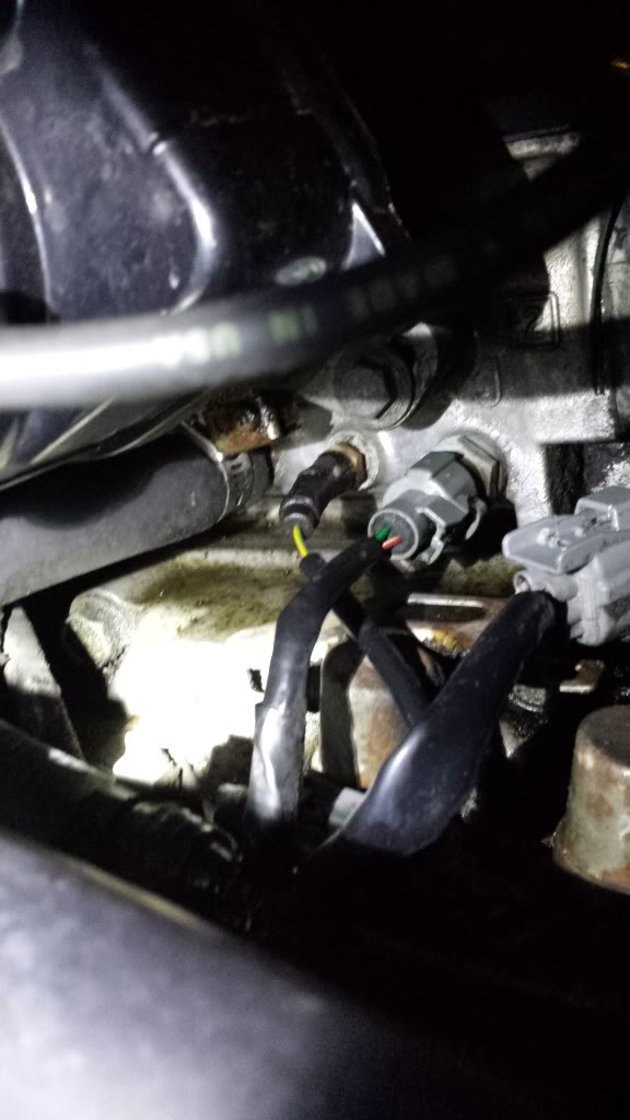 Name:  20131129_183305_zpsb4fdfd95.jpg
Views: 3003
Size:  65.2 KB