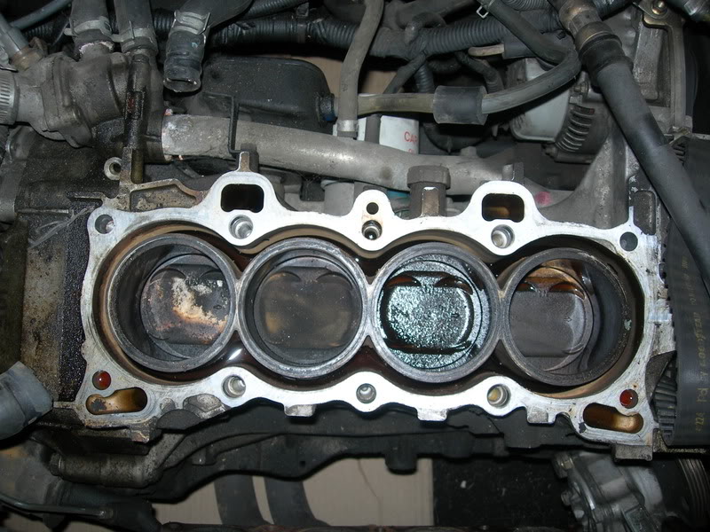 Name:  DSCN3275.jpg
Views: 4495
Size:  119.9 KB