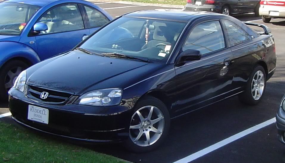 Name:  newfilho-1.jpg
Views: 1758
Size:  84.3 KB