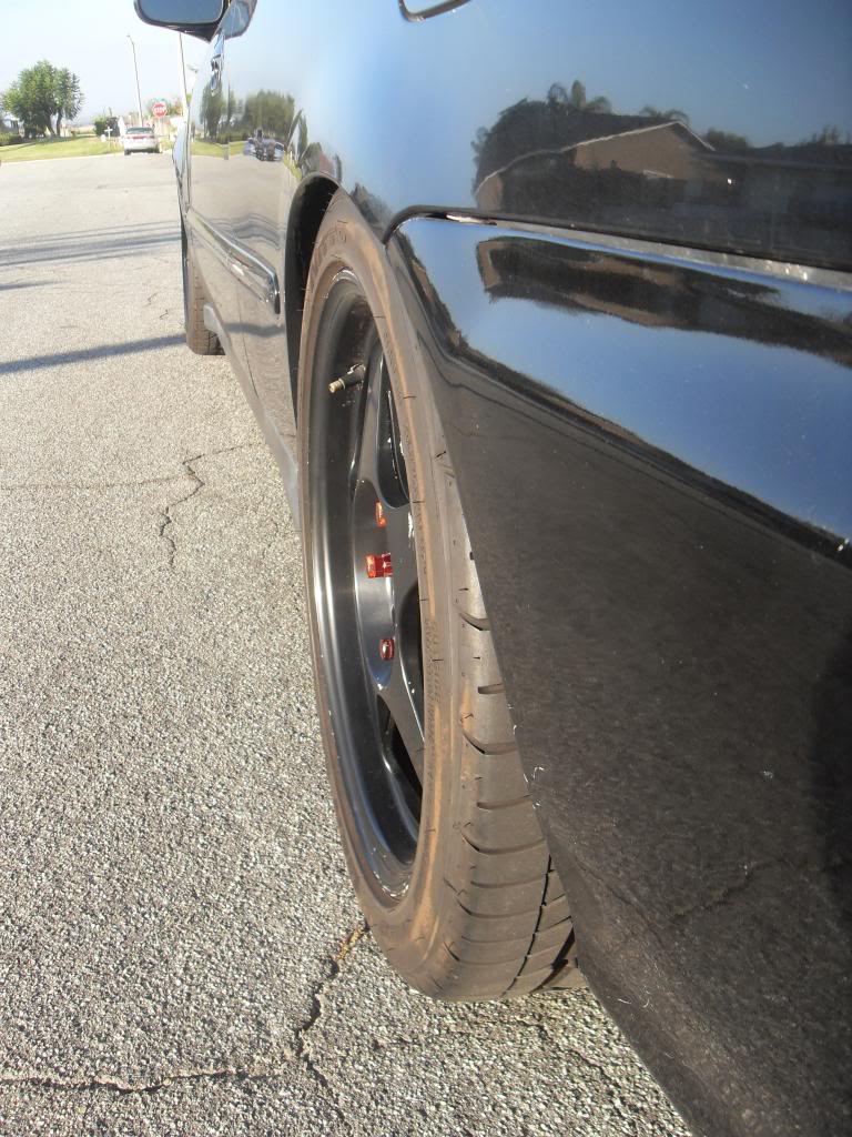 Name:  SDC11021_zps20b1f0f0.jpg
Views: 1373
Size:  145.8 KB