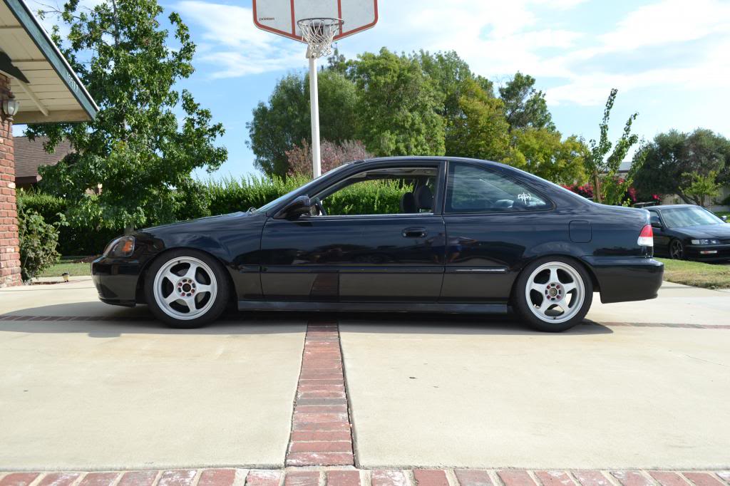 Name:  DSC_0955_zps64803d7f.jpg
Views: 1724
Size:  111.4 KB