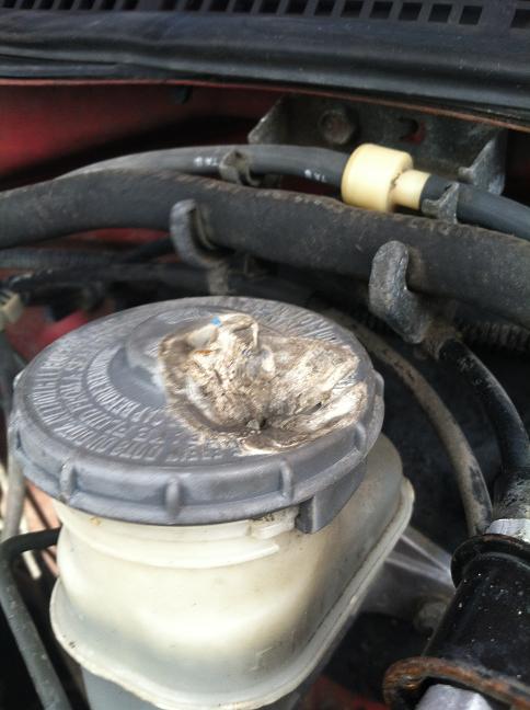 Name:  civic_zps42339fea.jpg
Views: 1669
Size:  51.1 KB