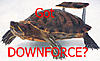 Click image for larger version

Name:	downforce.jpg
Views:	242
Size:	36.3 KB
ID:	9293