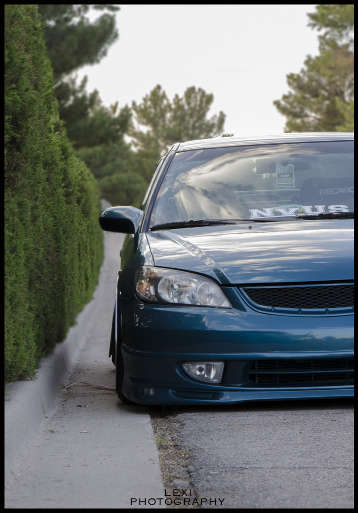 Name:  DSC_1390_zps6c6047fc.png
Views: 1801
Size:  1.01 MB