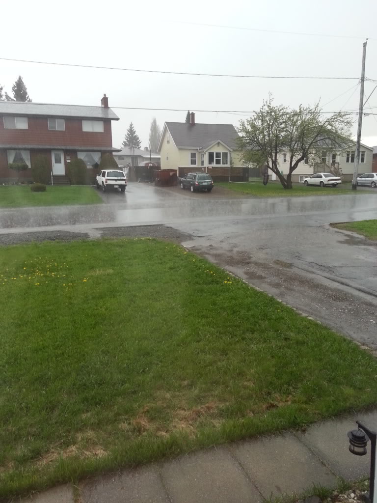 Name:  20130531_192125_zpsc5aba356.jpg
Views: 37
Size:  120.1 KB