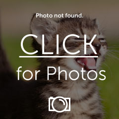 Name:  IMG347_zpsce7c0bfb.jpg
Views: 51
Size:  14.0 KB