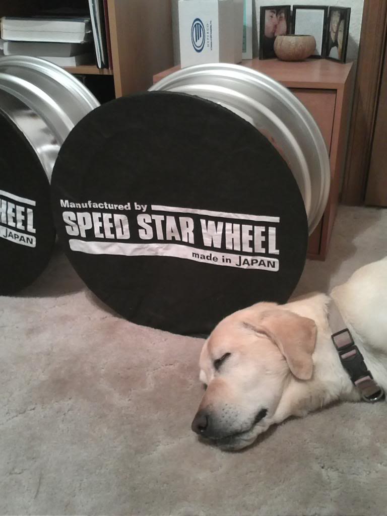 Name:  IMG946_zpsd8b9fb04.jpg
Views: 1743
Size:  70.7 KB