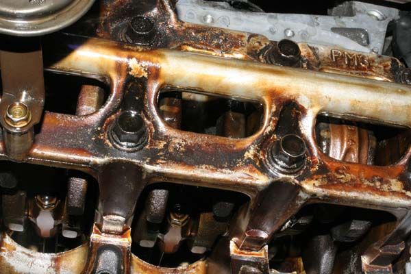 Name:  IMG_6255_zps119837f8.jpg
Views: 415
Size:  70.0 KB