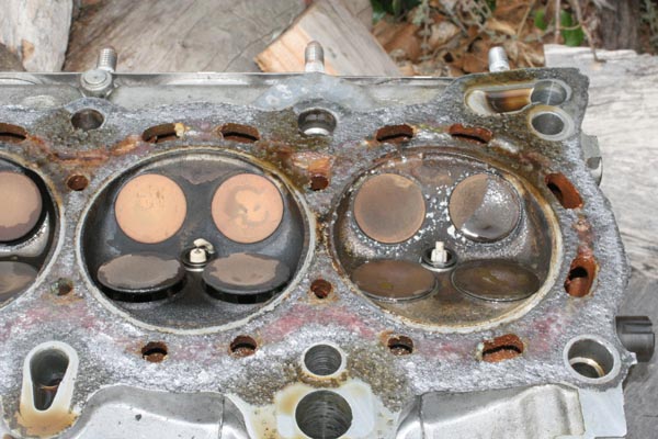 Name:  IMG_6229.jpg
Views: 487
Size:  81.7 KB